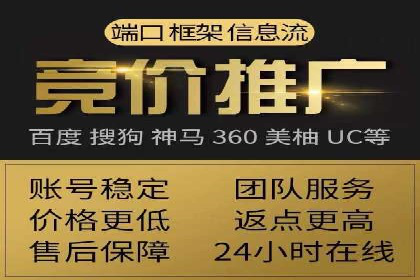 SEM推广案例：从无到有的转变